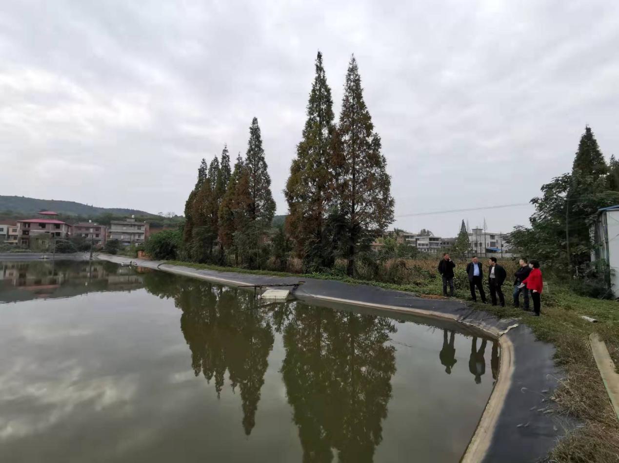 圖片13.jpg 圖片13.jpg