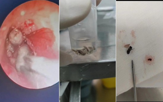 Snipaste_2023-07-05_15-00-01.jpg Snipaste_2023-07-05_15-00-01.jpg