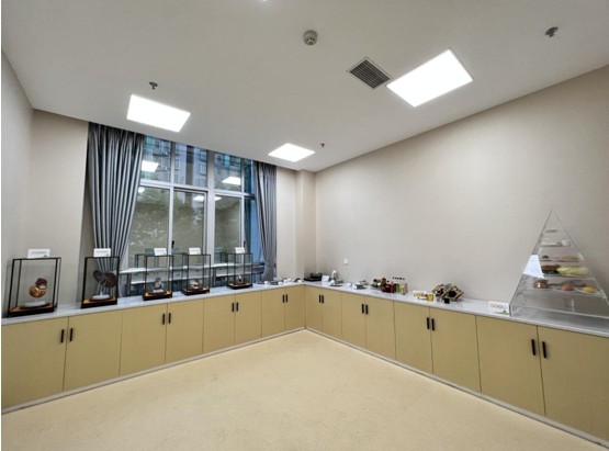 Snipaste_2023-09-13_16-36-23.jpg Snipaste_2023-09-13_16-36-23.jpg