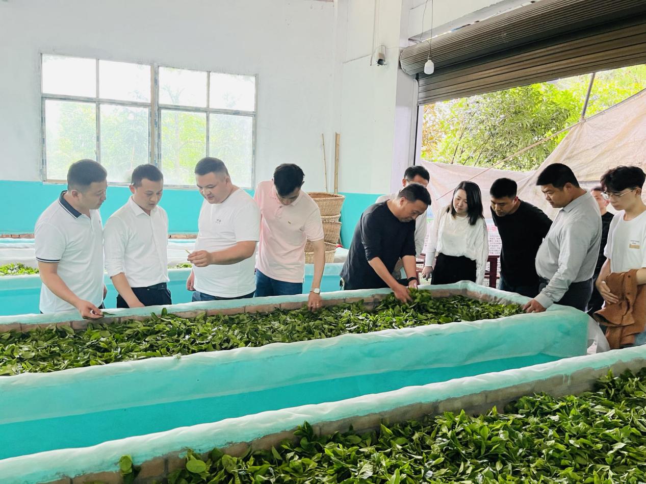 圖片8.jpg 圖片8.jpg