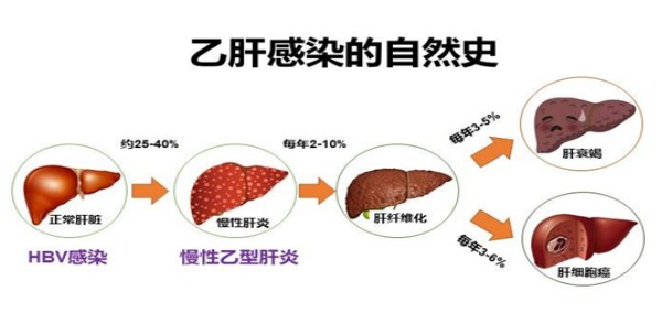 Snipaste_2024-11-20_09-49-14.jpg Snipaste_2024-11-20_09-49-14.jpg