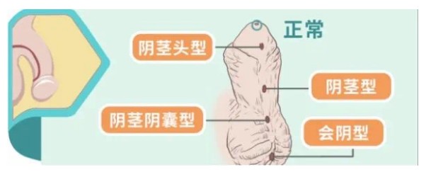 Snipaste_2025-01-02_16-42-25.jpg Snipaste_2025-01-02_16-42-25.jpg