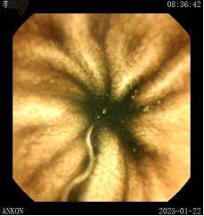 圖片5.jpg 圖片5.jpg