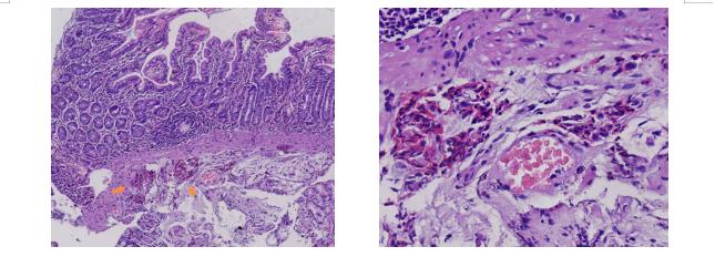 圖片5.jpg 圖片5.jpg